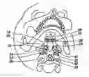 Fig. 01 - Clivus plate