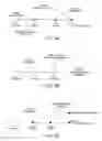 Fig. 11 - Treatment progress tracking and recalibration