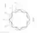 Fig. 06 - DENTAL HYGIENE ITEM