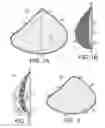 Fig. 02 - Breast Prosthesis with Pocket
