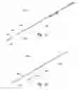 Fig. 09 - STENT GRAFT DELIVERY SYSTEMS AND ASSOCIATED METHODS