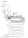 Fig. 01 - Transpyloric anchoring