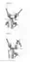 Fig. 27 - Support device, operation support device, and muscle strength training support device