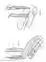 Fig. 02 - ANKLE BRACE AND METHOD OF USING SAME