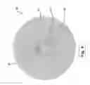 Fig. 05 - Method for scanning a pulsed laser beam