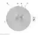 Fig. 07 - Method for scanning a pulsed laser beam