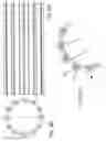 Fig. 08 - Portable massage roller