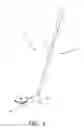 Fig. 02 - SPECIMEN COLLECTION DEVICE AND METHOD OF USE