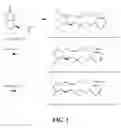 Fig. 02 - COMPOSITION, METHOD AND KIT FOR ENHANCING HAIR