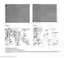 Fig. 07 - Cosmetic compositions