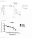 Fig. 02 - Prophylactic and/or therapeutic agent for radiation damage