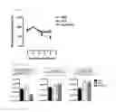 Fig. 05 - Prophylactic and/or therapeutic agent for radiation damage