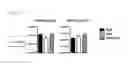 Fig. 08 - Prophylactic and/or therapeutic agent for radiation damage