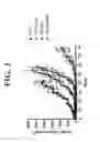 Fig. 04 - SPARC AND METHODS OF USE THEREOF