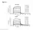 Fig. 09 - Inhibitors of CD40-TRAF6 interaction