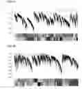 Fig. 02 - NEURONAL REGENERATION