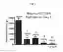 Fig. 06 - METHODS OF USING (+)-1,4-DIHYDRO-7-[(3S,4S)-3-METHOXY-4-(METHYLAMINO)-1-PYRROLIDINYL]-4-OXO-1-(2-THIAZOLYL)-1,8-NAPHTHYRIDINE-3-CARBOXYLIC ACID FOR TREATMENT OF CERTAIN HEMATOLOGIC DISORDERS