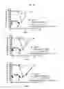 Fig. 35 - METHODS OF USING (+)-1,4-DIHYDRO-7-[(3S,4S)-3-METHOXY-4-(METHYLAMINO)-1-PYRROLIDINYL]-4-OXO-1-(2-THIAZOLYL)-1,8-NAPHTHYRIDINE-3-CARBOXYLIC ACID FOR TREATMENT OF CERTAIN HEMATOLOGIC DISORDERS