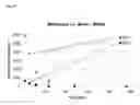 Fig. 11 - ENHANCED BRAIN BIOAVAILABILITY OF GALANTAMINE BY SELECTED FORMULATIONS AND TRANSMUCOSAL ADMINISTRATION OF LIPOPHILIC PRODRUGS