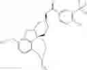 Fig. 13 - ENHANCED BRAIN BIOAVAILABILITY OF GALANTAMINE BY SELECTED FORMULATIONS AND TRANSMUCOSAL ADMINISTRATION OF LIPOPHILIC PRODRUGS