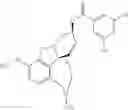 Fig. 20 - ENHANCED BRAIN BIOAVAILABILITY OF GALANTAMINE BY SELECTED FORMULATIONS AND TRANSMUCOSAL ADMINISTRATION OF LIPOPHILIC PRODRUGS