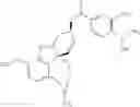 Fig. 29 - ENHANCED BRAIN BIOAVAILABILITY OF GALANTAMINE BY SELECTED FORMULATIONS AND TRANSMUCOSAL ADMINISTRATION OF LIPOPHILIC PRODRUGS