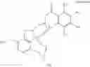 Fig. 46 - ENHANCED BRAIN BIOAVAILABILITY OF GALANTAMINE BY SELECTED FORMULATIONS AND TRANSMUCOSAL ADMINISTRATION OF LIPOPHILIC PRODRUGS