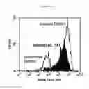 Fig. 08 - Methods for treating bacterial infection