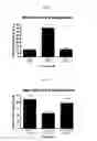 Fig. 02 - COMPOSITIONS AND METHODS FOR THE TREATMENT OF BLADDER CANCER
