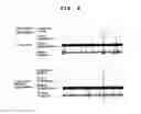 Fig. 06 - Agent for ameliorating brain hypofunction