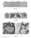 Fig. 04 - METHOD OF POTENTIATING AN ANTITUMOR IMMUNE RESPONSE