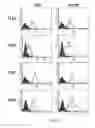 Fig. 08 - METHOD OF POTENTIATING AN ANTITUMOR IMMUNE RESPONSE