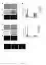 Fig. 04 - Human hepatocyte-like cells and uses thereof