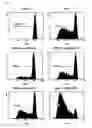 Fig. 07 - Use of preparations comprising exosomes derived from mesenchymal stem cells (MSCs) in the prevention and therapy of inflammatory conditions