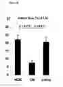 Fig. 05 - Mesenchymal stem cell particles