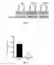Fig. 04 - Methods and compositions for in vivo induction of pancreatic beta cell formation
