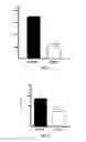 Fig. 05 - Methods and compositions for in vivo induction of pancreatic beta cell formation