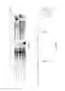Fig. 03 - Lactic acid bacteria and their use in swine direct-fed microbials