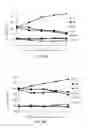 Fig. 07 - BLOOD PRESSURE REDUCING COMPOSITION FABRICATED BY USING MONASCUS PURPUREUS NTU 568 AND PRIMER FOR THE MONASCUS PURPUREUS NTU 568