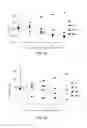 Fig. 09 - BLOOD PRESSURE REDUCING COMPOSITION FABRICATED BY USING MONASCUS PURPUREUS NTU 568 AND PRIMER FOR THE MONASCUS PURPUREUS NTU 568