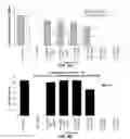 Fig. 07 - FICUS EXTRACTS HAVING ANGIOGENESIS INHIBITING ACTIVITY AND METHODS OF ISOLATING AND USING THE SAME
