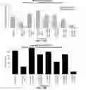 Fig. 12 - FICUS EXTRACTS HAVING ANGIOGENESIS INHIBITING ACTIVITY AND METHODS OF ISOLATING AND USING THE SAME