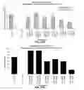 Fig. 13 - FICUS EXTRACTS HAVING ANGIOGENESIS INHIBITING ACTIVITY AND METHODS OF ISOLATING AND USING THE SAME