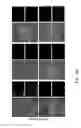 Fig. 34 - Method Of Reducing Injury To Mammalian Cells