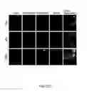 Fig. 48 - Method Of Reducing Injury To Mammalian Cells