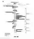 Fig. 08 - Methods of treating metabolic disease