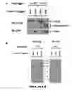 Fig. 77 - Methods of treating metabolic disease