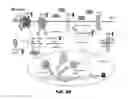 Fig. 85 - Methods of treating metabolic disease