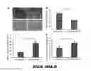 Fig. 86 - Methods of treating metabolic disease