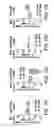 Fig. 14 - IGF-1 proteins and therapeutic uses thereof